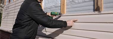 Best Insulated Siding Installation  in Spring Valley, IL